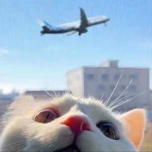 男人扒开女人的腿猛进吃瓜
